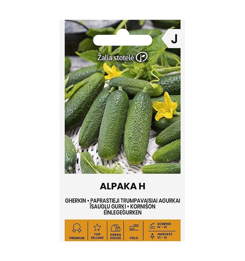 AGURKAI PAPRASTIEJI TRUMPAVAISIAI ALPAKA H