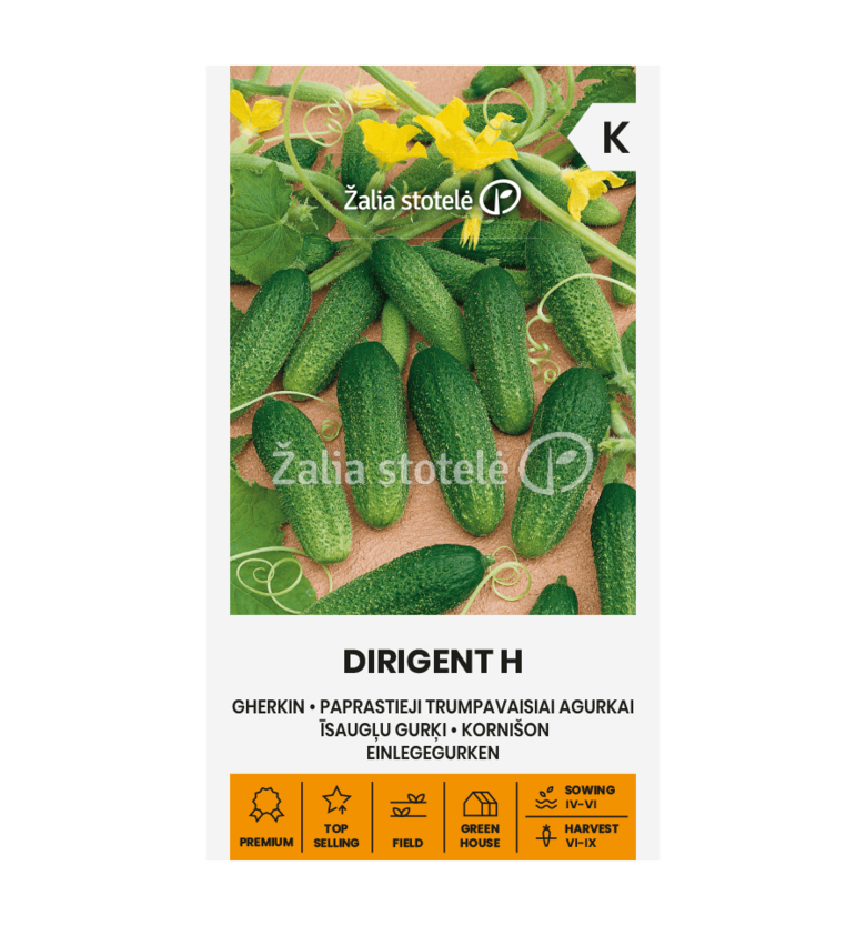 AGURKAI PAPRASTIEJI TRUMPAVAISIAI DIRIGENT H