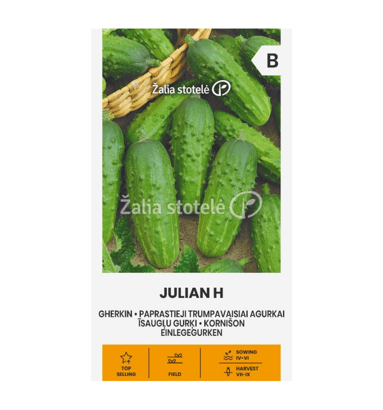 AGURKAI PAPRASTIEJI TRUMPAVAISIAI JULIAN H