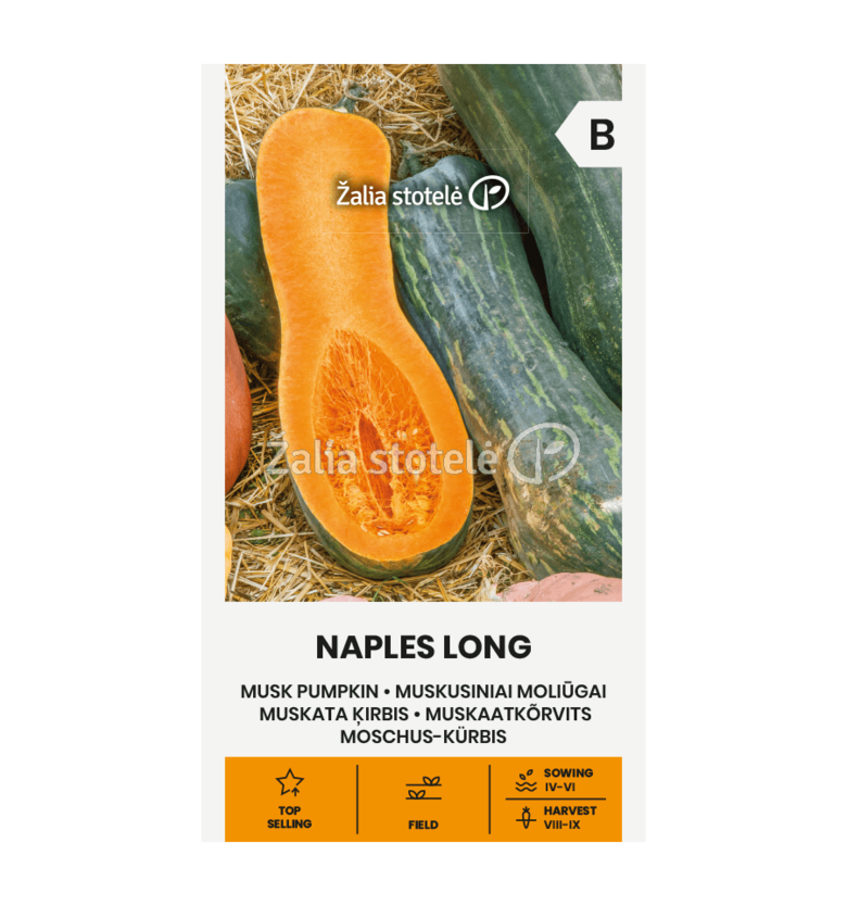 MOLIŪGAI MUSKUSINIAI NAPLES LONG