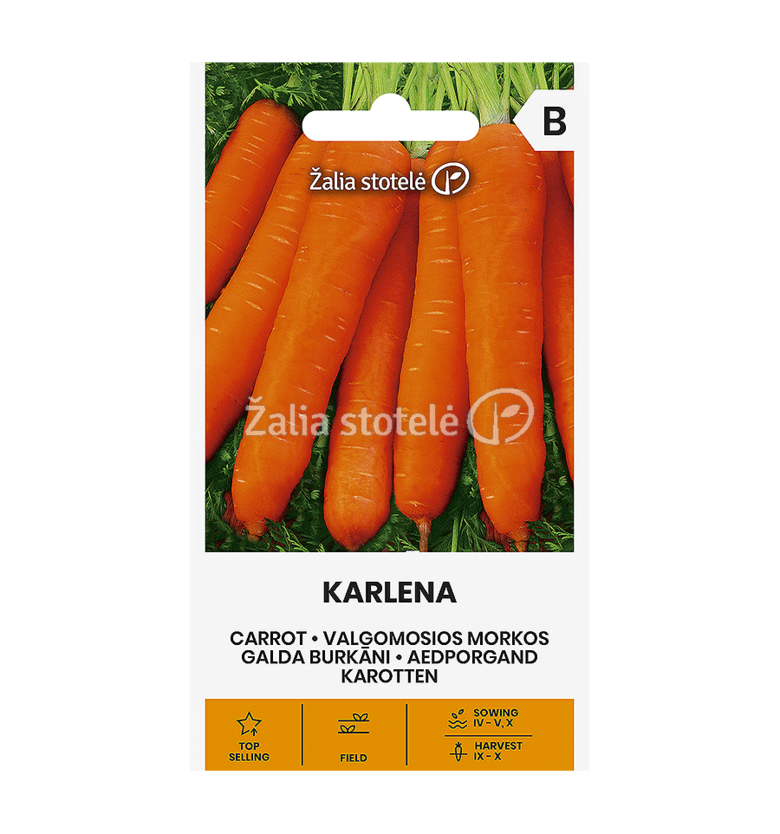 MORKOS VALGOMOSIOS KARLENA