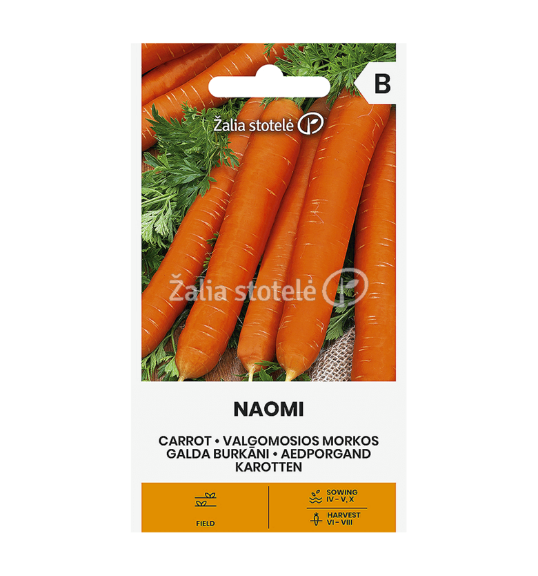 MORKOS VALGOMOSIOS NAOMI