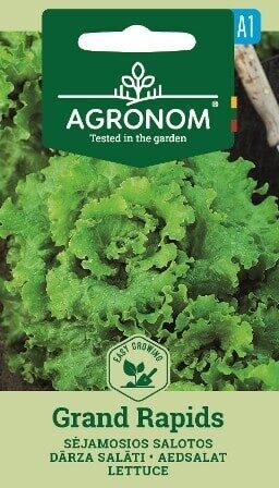 SALOTOS GRAND RAPIDS