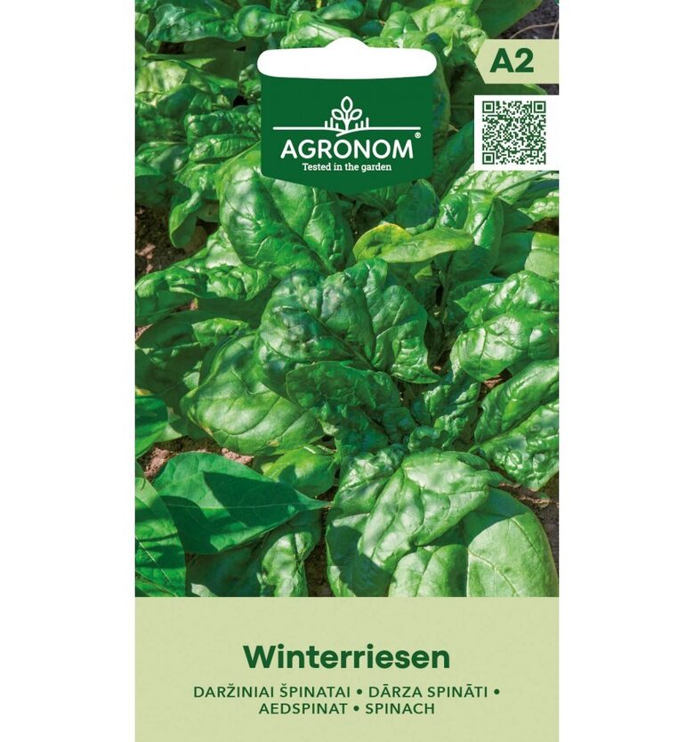 ŠPINATAI DARŽINIAI WINTERRIESEN