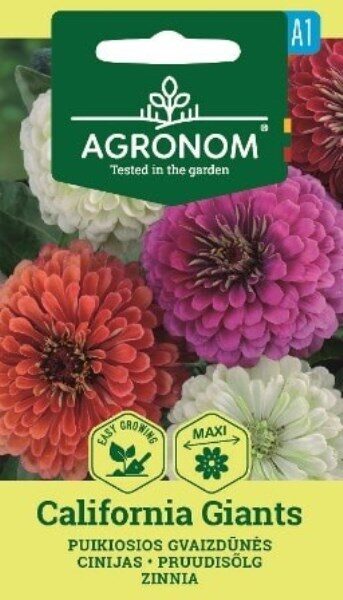 GVAIZDŪNĖS JURGININĖS СALIFORNIA GIANTS