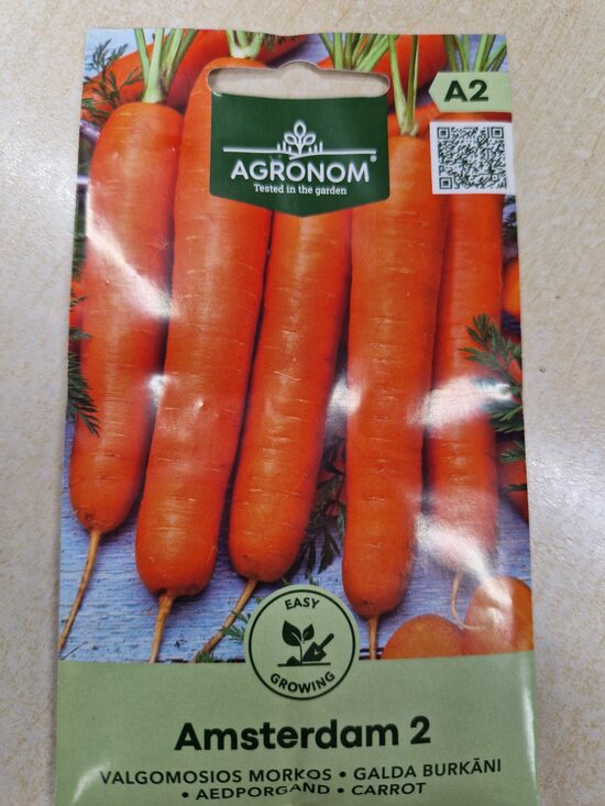 MORKOS VALGOMOSIOS AMSTERDAM 2