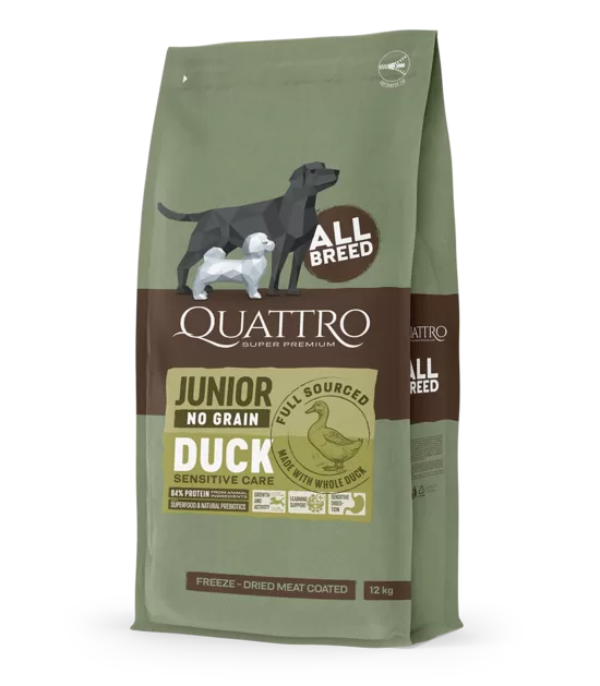 QUATTRO Visavertis visų veislių jaunų šunų sausas pašaras be grūdų su antiena, 12 kg