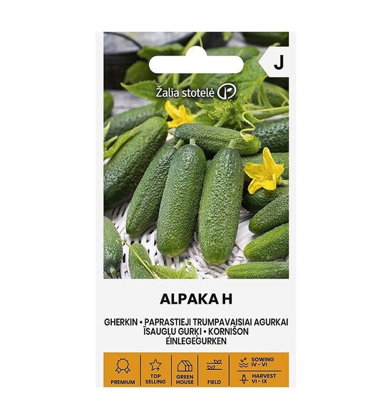 AGURKAI PAPRASTIEJI TRUMPAVAISIAI ALPAKA H