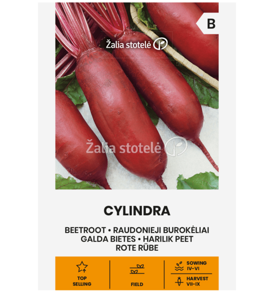 BUROKĖLIAI RAUDONIEJI CYLINDRA