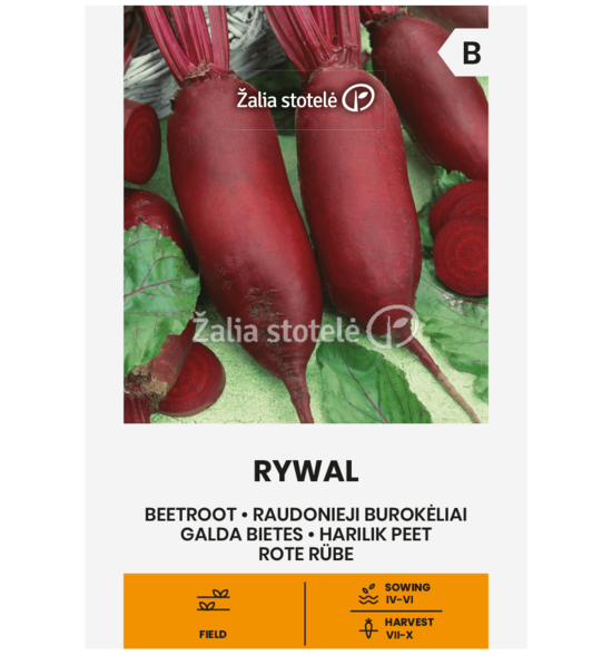 BUROKĖLIAI RAUDONIEJI RYWAL