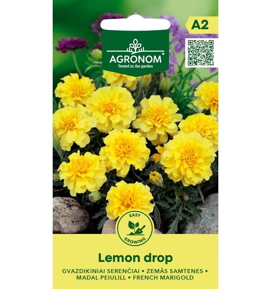 GVAZDIKINIAI SERENČIAI LEMON DROP