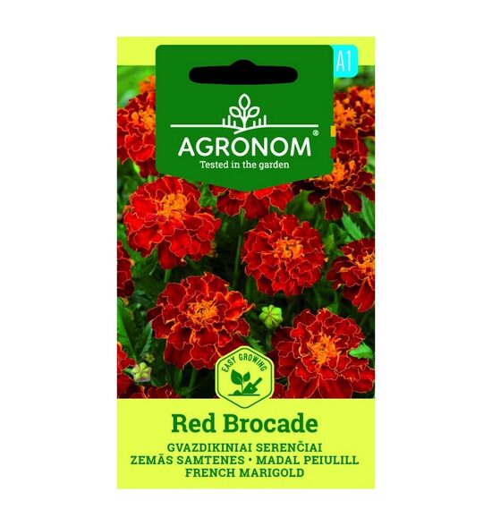 GVAZDIKINIAI SERENČIAI RED BROCADE