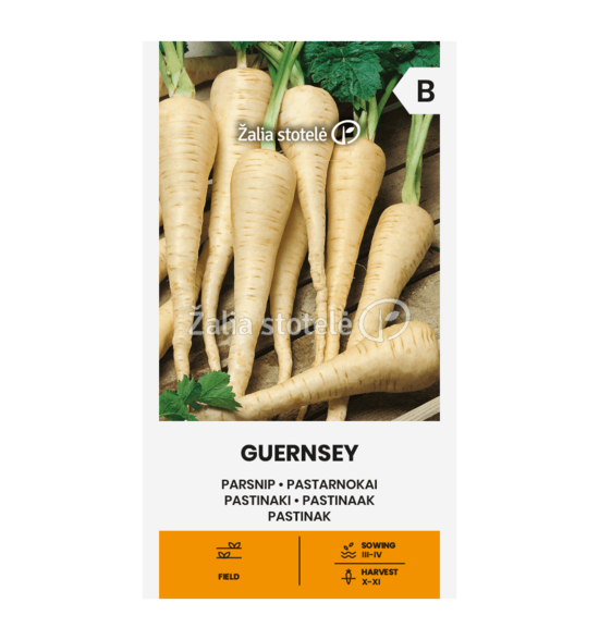 PASTARNOKAI GUERNSEY