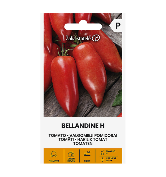 POMIDORAI VALGOMIEJI BELLANDINE H