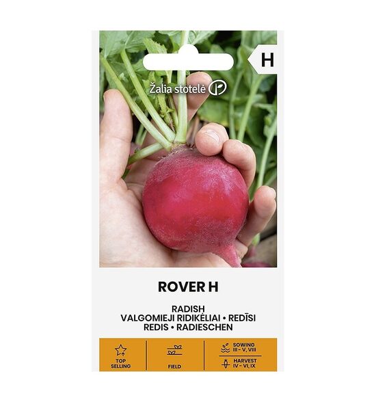 RIDIKĖLIAI VALGOMIEJI ROVER H